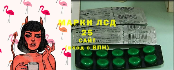 стафф Инта