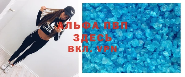 стафф Инта