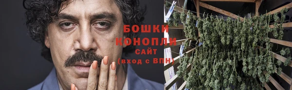 стафф Инта