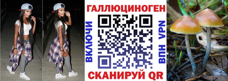 Галлюциногенные грибы ЛСД  цены   гидра сайт  Змеиногорск 